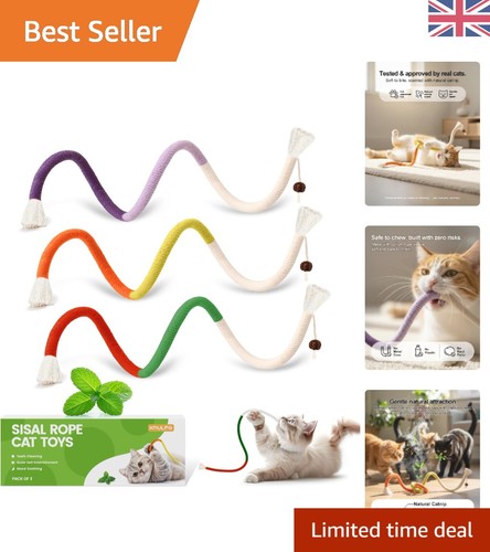 Interactive cat toys - interactive,