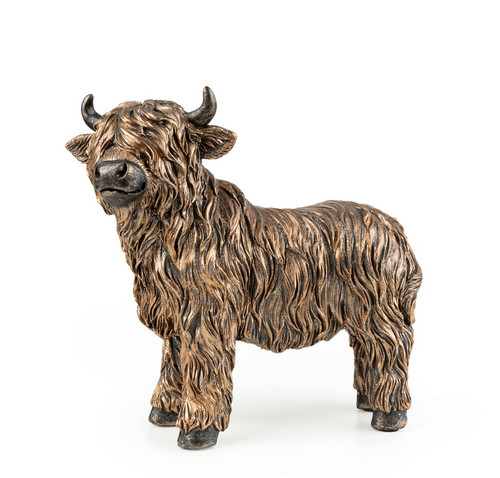 Super cute scottish highland - super,