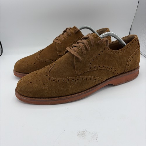 Polo ralph lauren wingtip - polo,