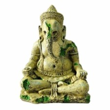 Aquatic aquarium decoration - aquatic,