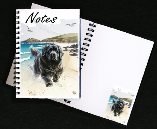 Newfoundland dog - newfoundland,
