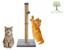 Large tall cat - large, scratching