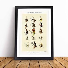 Trout fishing flies - trout,