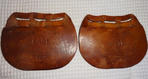 Collegiate billet guards - collegiate,
