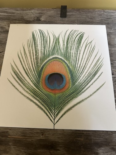 Xtc apple venus - apple,