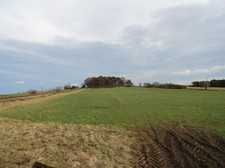 Photo A1 Looking back East Leadgate/NZ1159 Looking along the lane towar c2012