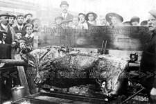 Rrj-93 Pig Roast, Stratford