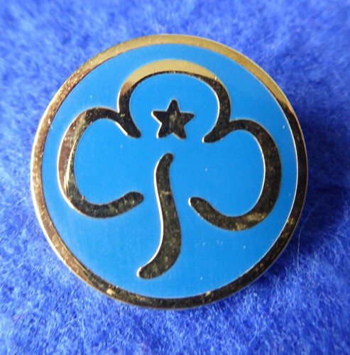 Vintage girl guide promise - vintage,