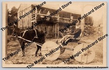 Bearded Man in Horse Cart