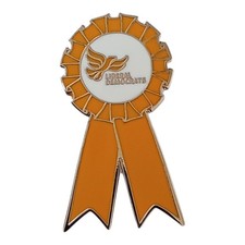 The Liberal Democrats Politics