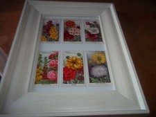 Wills Cigarettes Framed Cards GARDEN FLOWERS X 6 1933 VGC frame 7.5" x 9.5"