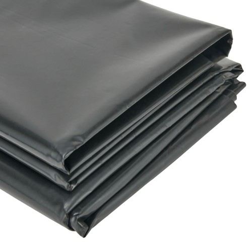 Pond membrane fish - fish,