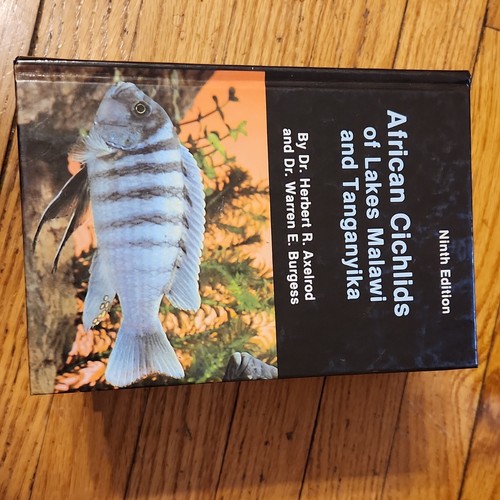 African cichlids lakes - cichlids, of