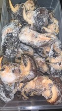 Fresh  Frozen Snails 10pcs-