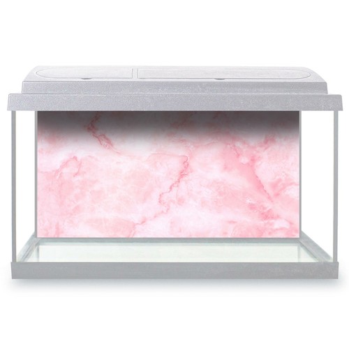 Fish tank background - tank,