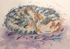 ORIGINAL CAT PAINTING SLEEPING KITTEN PETS TABBY MOGGY ART