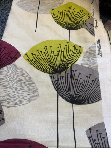Sanderson dandelion clocks - sanderson,