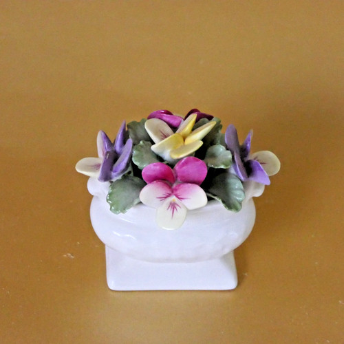 Aynsley flower the month - aynsley,
