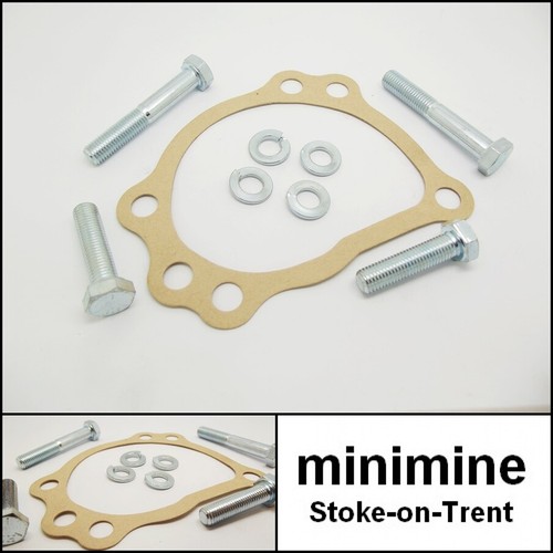 Classic mini water pump - water,