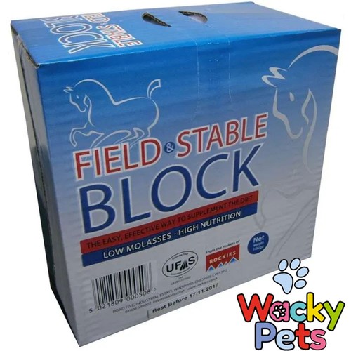 Horse lick supplement rockies - horse,