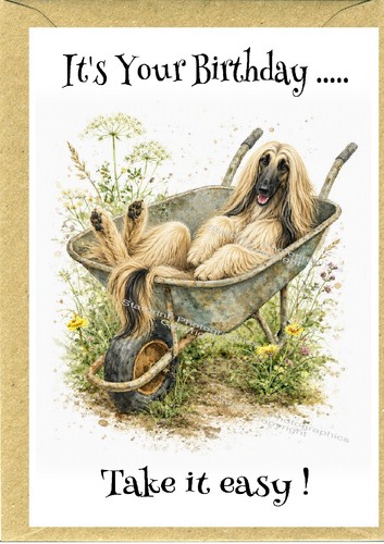 Afghan hound dog - dog, 6")
