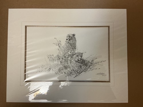 David shepherd limited edition - david,