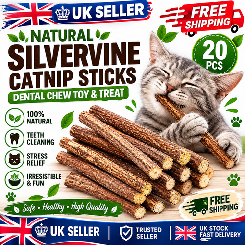 20pcs natural silvervine - 20pcs,