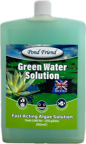 Pond friend green water - pond,
