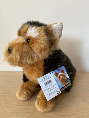 Yorkshire terrier just it - terrier,,