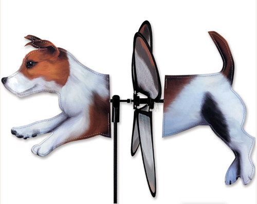 Jack russell terrier - russell, garden