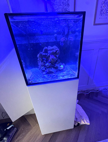 Red sea nano - red,