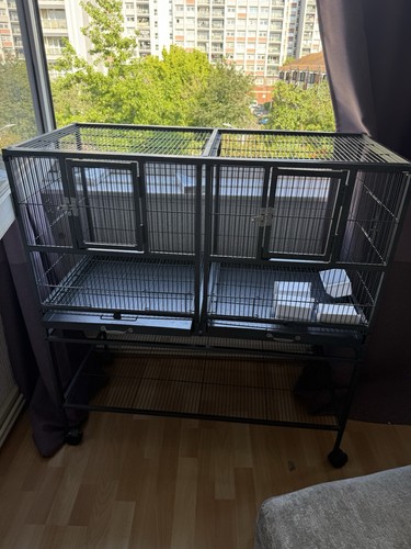 Bird cage - bird,