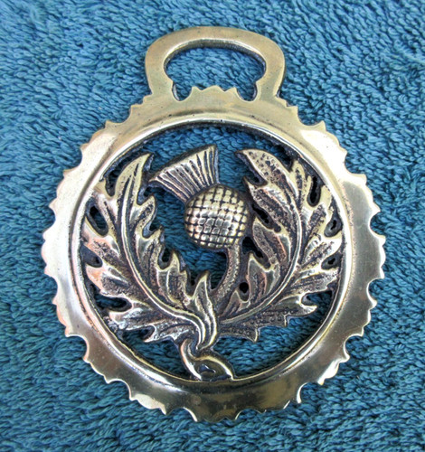 Vintage brass scottish thistle - vintage,