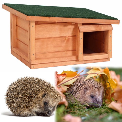 Hedgehog house hibernation - house,