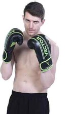 Professional Boxing Gloves