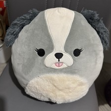 Malu The Grey Shih-Tzu