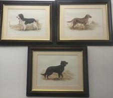 JOEL KIRK DOG PRINTS SET 3 Framed Springer Spaniel Golden Retriever Superb 