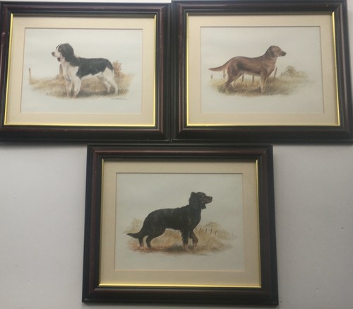 Joel kirk dog - kirk, 3