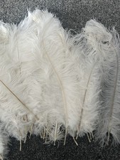 32cm Real White Ostrich Feathers 37