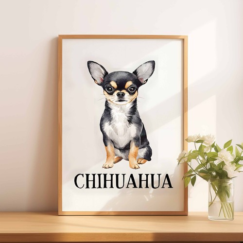 Chihuahua dog - a5,
