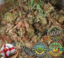 Sphagnum Moss for Hanging Baskets Planters Gardening Growing Orchid Propagation