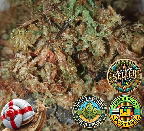 Sphagnum moss for - sphagnum,