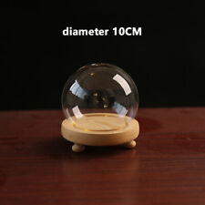 Glass Dome Display Bell Jar