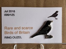 RSPB Interest  RiNG OUZEL  SGW