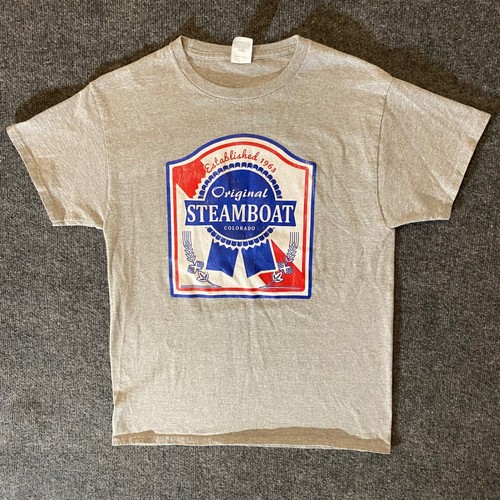 Hanes shirt mens gray - hanes,