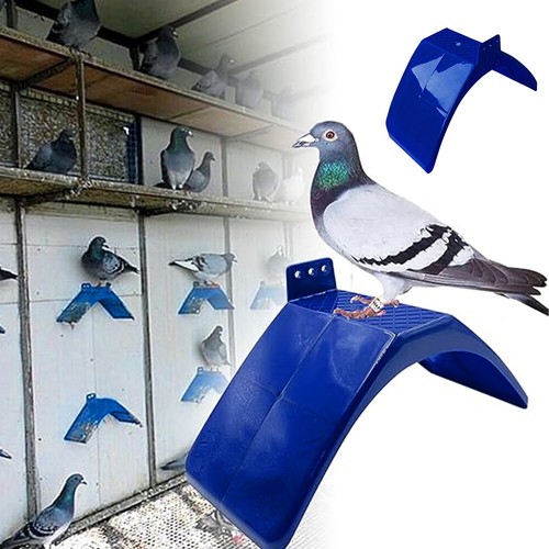 20x pigeon bird pet roost - 10/20x,