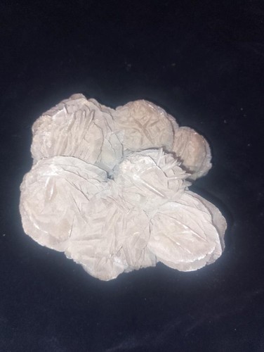 Desert rose large gypsum - rose,