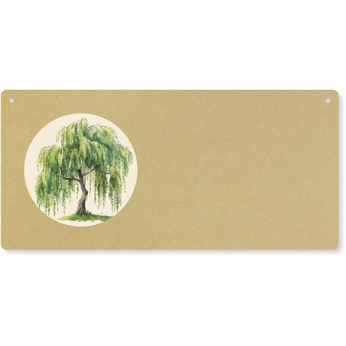Weeping willow tree - 'weeping, large