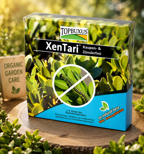 Topbuxus xentari box tree moth - topbuxus,