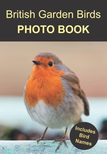 British garden birds - british,